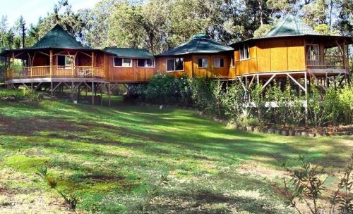 1880 Piiholo Rd, Makawao, HI 96768-7240