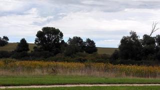 657 Clancy St, Jefferson, WI 53549-2249