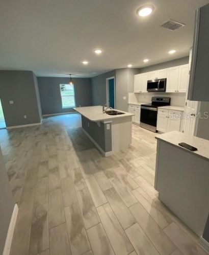 25040 Albia Ave, Mount Plymouth, FL 32776-9672