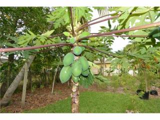 8229 Miami Ct, Miami, FL 33138-3715