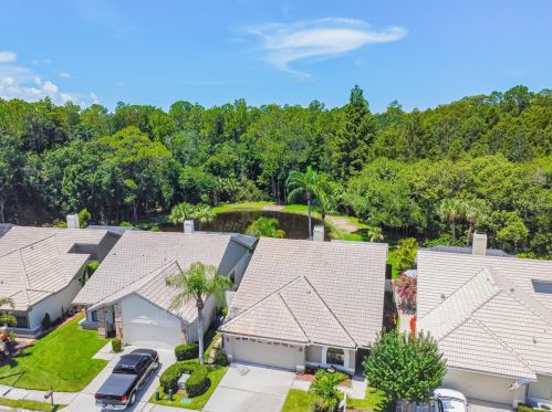 3664 Darston St, Palm Harbor FL  34685-1182 exterior