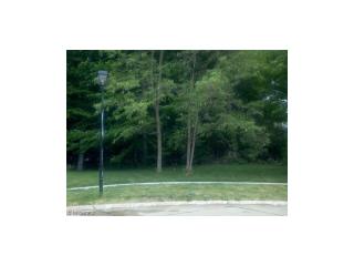 38 Maple Dr, Seville, OH 44273-9188