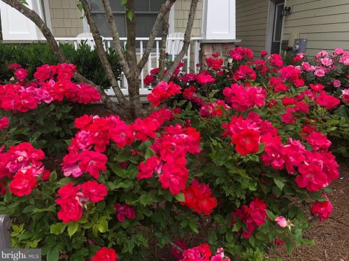 27173 Barefoot Blvd, Millsboro, DE 19966-7138