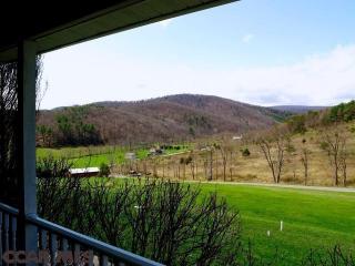 252 Bush Hollow Rd, Julian, PA 16844-9501