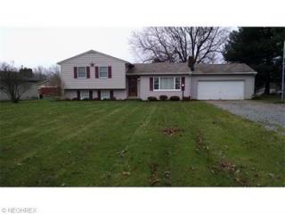 7000 Chatham Rd, Medina, OH 44256-8538