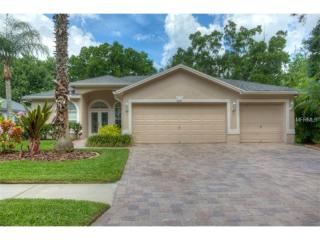 15726 Muirfield Dr, Odessa, FL 33556-2847
