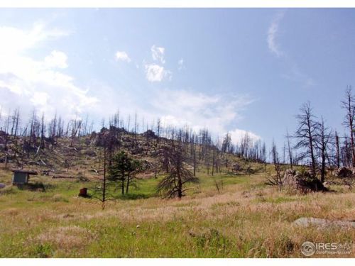 2151 Rist Creek Rd, Bellvue, CO 80512-6078