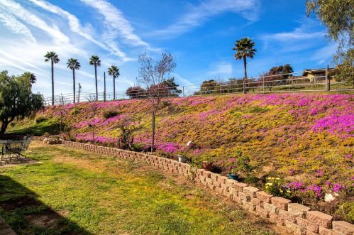 6960 Lilac Rd, Bonsall CA  92003-4312 exterior