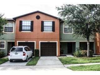 2521 Edgewater Falls Dr, Brandon, FL 33511-2297