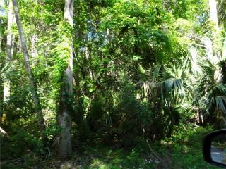 1620 Park Trl, Deltona, FL 32725-2412