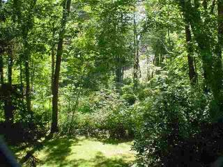 264 Township Rd, Altamont, NY