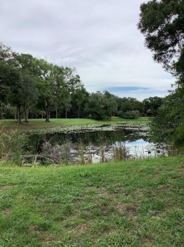 1232 Debuel Rd, Lutz, FL 33549-5402