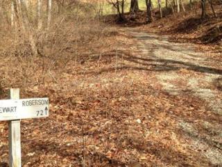 72 Mcdaris Cove Rd, Weaverville NC  28787-9755 exterior