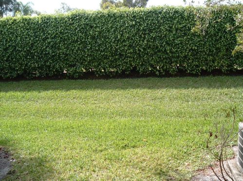 4961 Palmbrooke Cir, West Palm Beach, FL 33417-7536