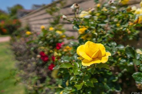 4311 180th St, Torrance CA  90504-3610 exterior