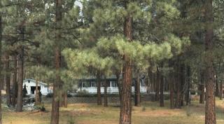 5747 Grizzly Rd, Portola, CA 96122-5319