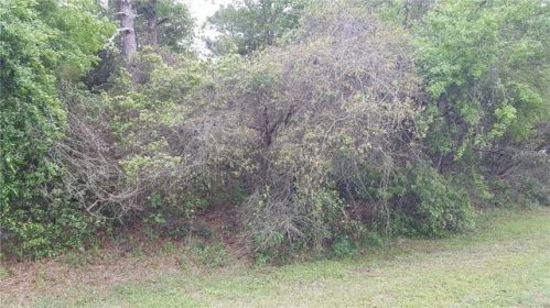 32046 Holopaw Trl, Mount Plymouth, FL 32776-9740