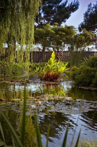 9325 Marina Pacifica Dr, Long Beach CA 90803-7004 exterior