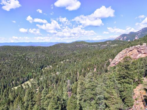 31781 Sarah Ln, Conifer, CO 80433-8201