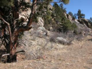 209 Fawn Rd, Bailey, CO 80421-2027