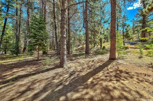 2161 Pinewood Dr, South Lake Tahoe CA  96150-5146 exterior