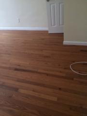 1339 Pacific St, Brooklyn NY  11216-5439 exterior