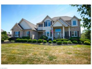6383 Highland Green Dr, Medina, OH 44256-6504