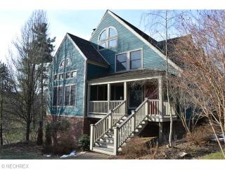 6060 River Styx Rd, Medina, OH 44256-9782