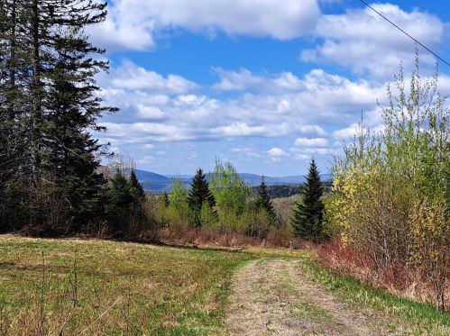 848 Diamond Pond Rd, Columbia NH  03576-5611 exterior