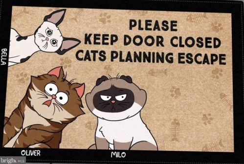 17284 Water View Dr, Lewes DE  19958 exterior