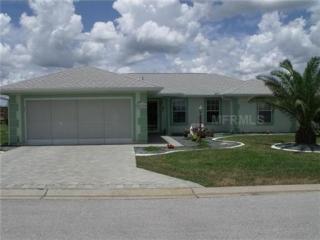 17490 110th Ter, Summerfield, FL 34491-8636