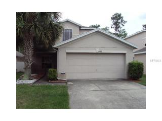 1738 Mandavilla Dr, Orlando, FL 32824-5061