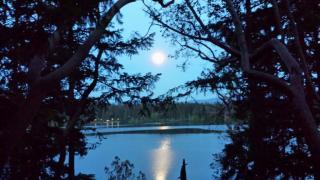 21945 Beachside Dr, Yelm WA  98597-8920 exterior