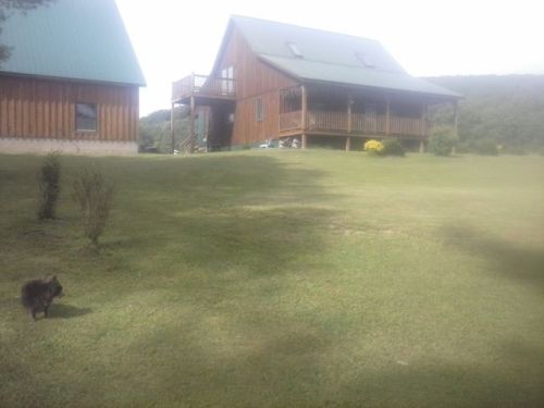 614 Horse Run Rd, Millport, PA 16748-2010