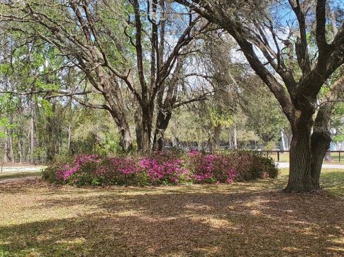 7754 Cr 248b, Lake Panasoffkee FL  33538-3020 exterior