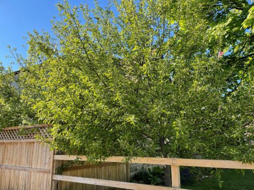 3065 41, Milwaukee WI 53209-5820 exterior