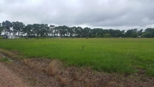 279 William Guillory Rd, Choupique, LA 71362-2742