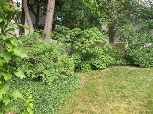 16 Leverett St, Keene NH  03431-2418 exterior