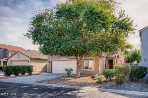475 Maddison St, San Tan Valley, AZ 85140-5755