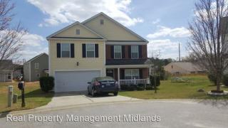 120 Ripple Ct, Lexington SC  29072-7005 exterior