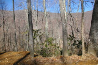 5 Roaring Fork Rd, Burnsville, NC 28714-6312