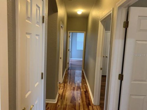 10528 Deerberry Dr, Land O Lakes FL  34638-6947 exterior