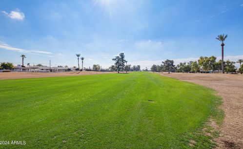 11213 Coggins Dr, Sun City AZ  exterior