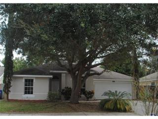 3605 Meadow Green Dr, Tavares, FL 32778-9482
