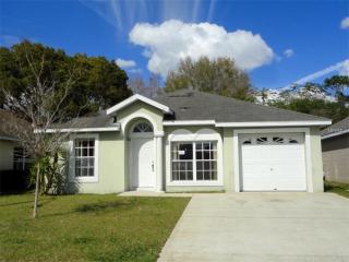 6945 Long Needle Ct, Orlando, FL 32822-3090