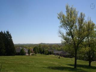 782 Joyce Ave, Lewisburg TN  37091-3678 exterior