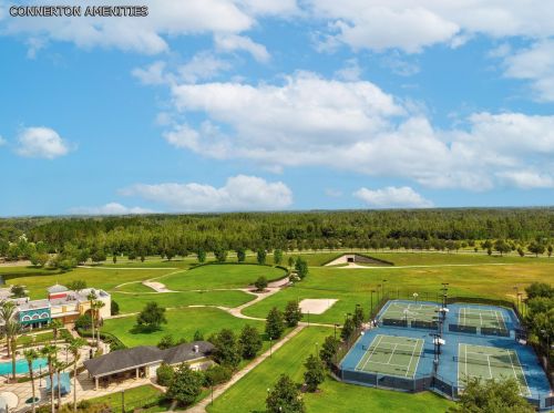 8239 Swiss Chard Cir, Land O Lakes FL  34637-7662 exterior