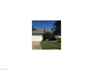 510 Brandon Ct, Concord Township, OH 44024-1455