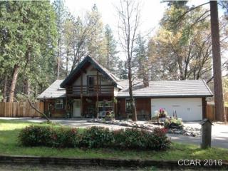 24772 Buckhorn Ridge Rd, Pioneer, CA 95666-9487