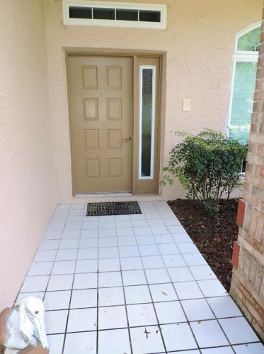 3076 Saw Mill Ln, Brooksville, FL 34606-7019